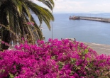bloemen op Madeira