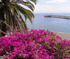 bloemen op Madeira